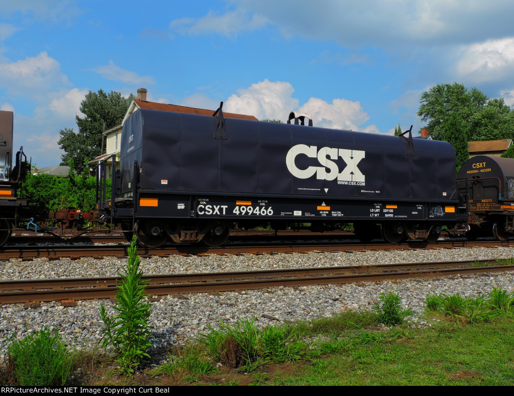 CSX 499466